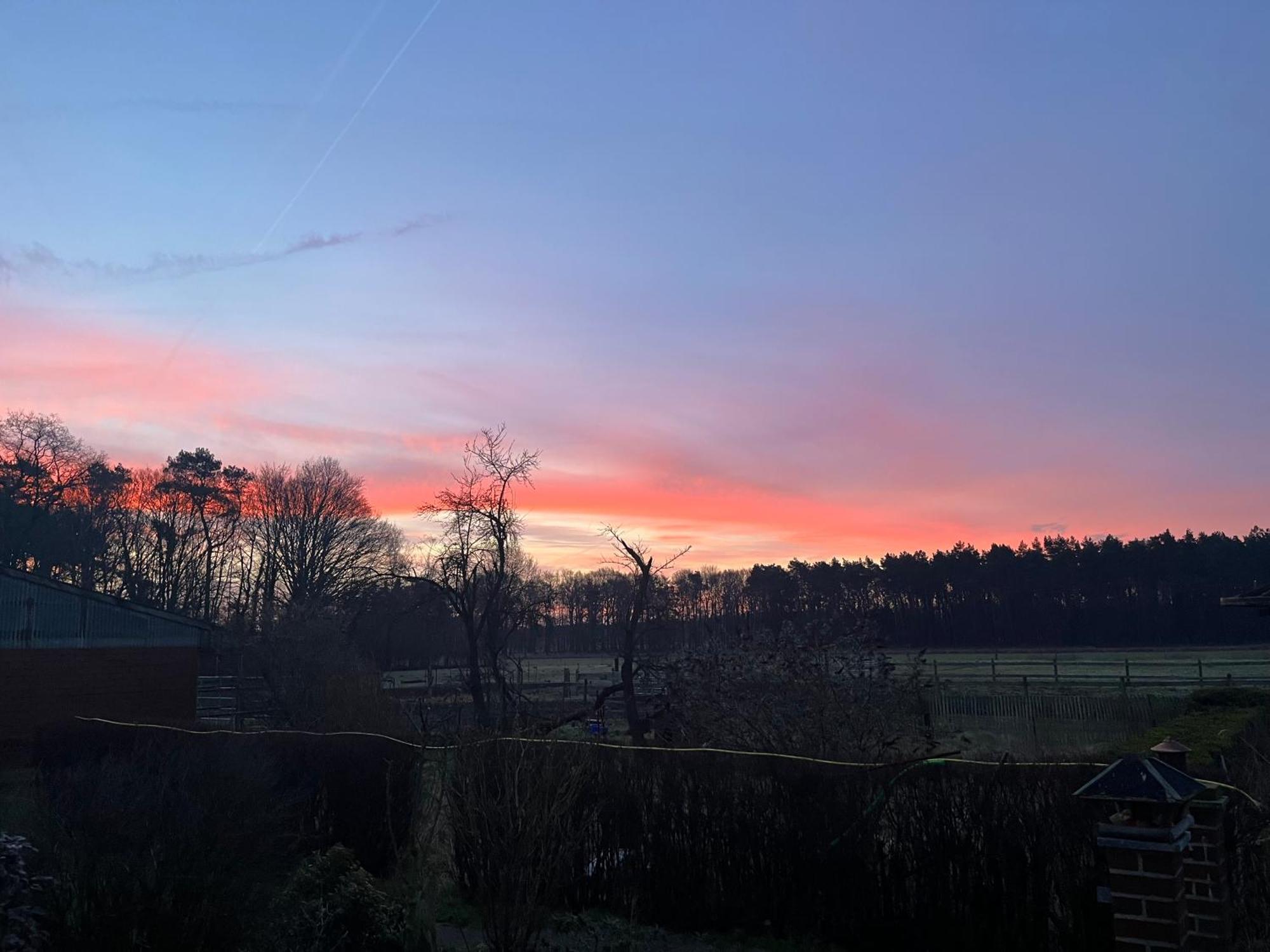 Wunderschoene Ferienwohnung Mit Balkon Auf Dem Bauernhof Greven Bagian luar foto