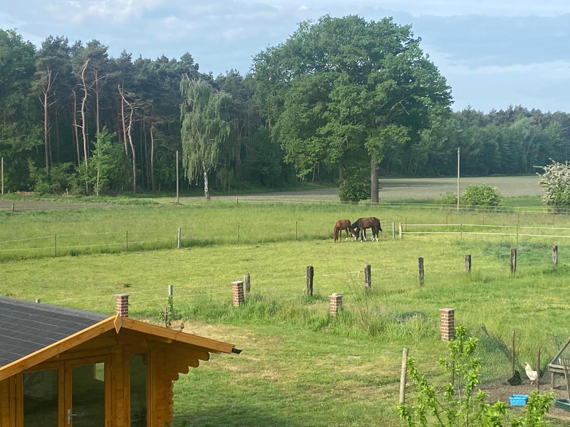 Wunderschoene Ferienwohnung Mit Balkon Auf Dem Bauernhof Greven Bagian luar foto