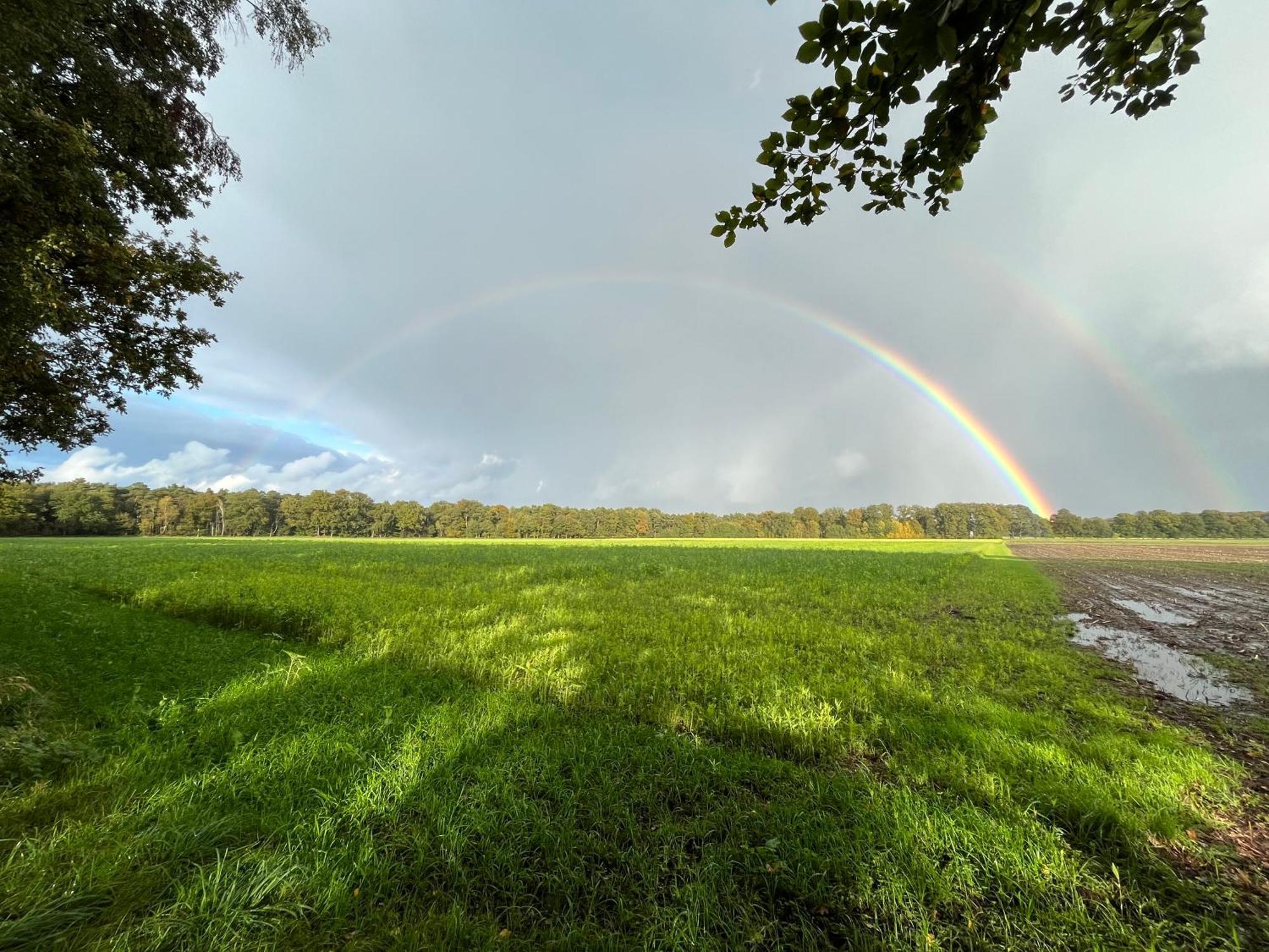 Wunderschoene Ferienwohnung Mit Balkon Auf Dem Bauernhof Greven Bagian luar foto