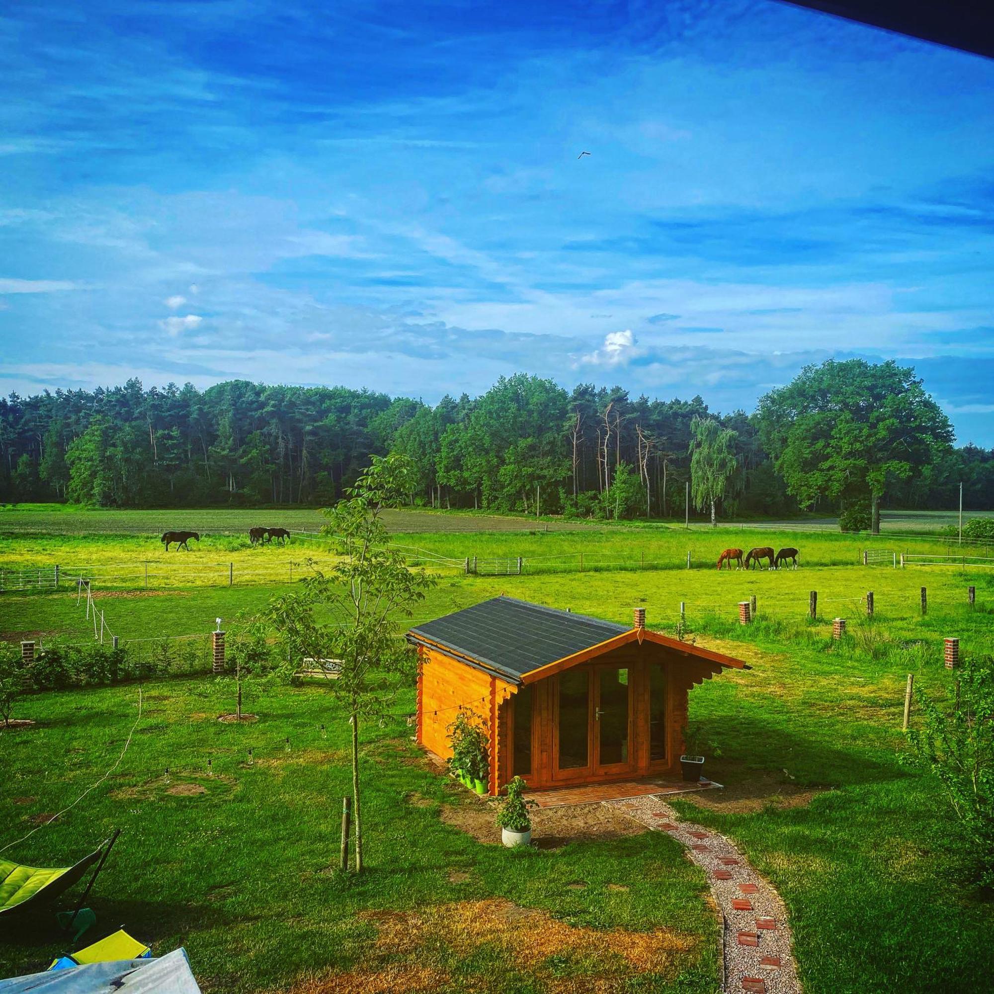 Wunderschoene Ferienwohnung Mit Balkon Auf Dem Bauernhof Greven Bagian luar foto
