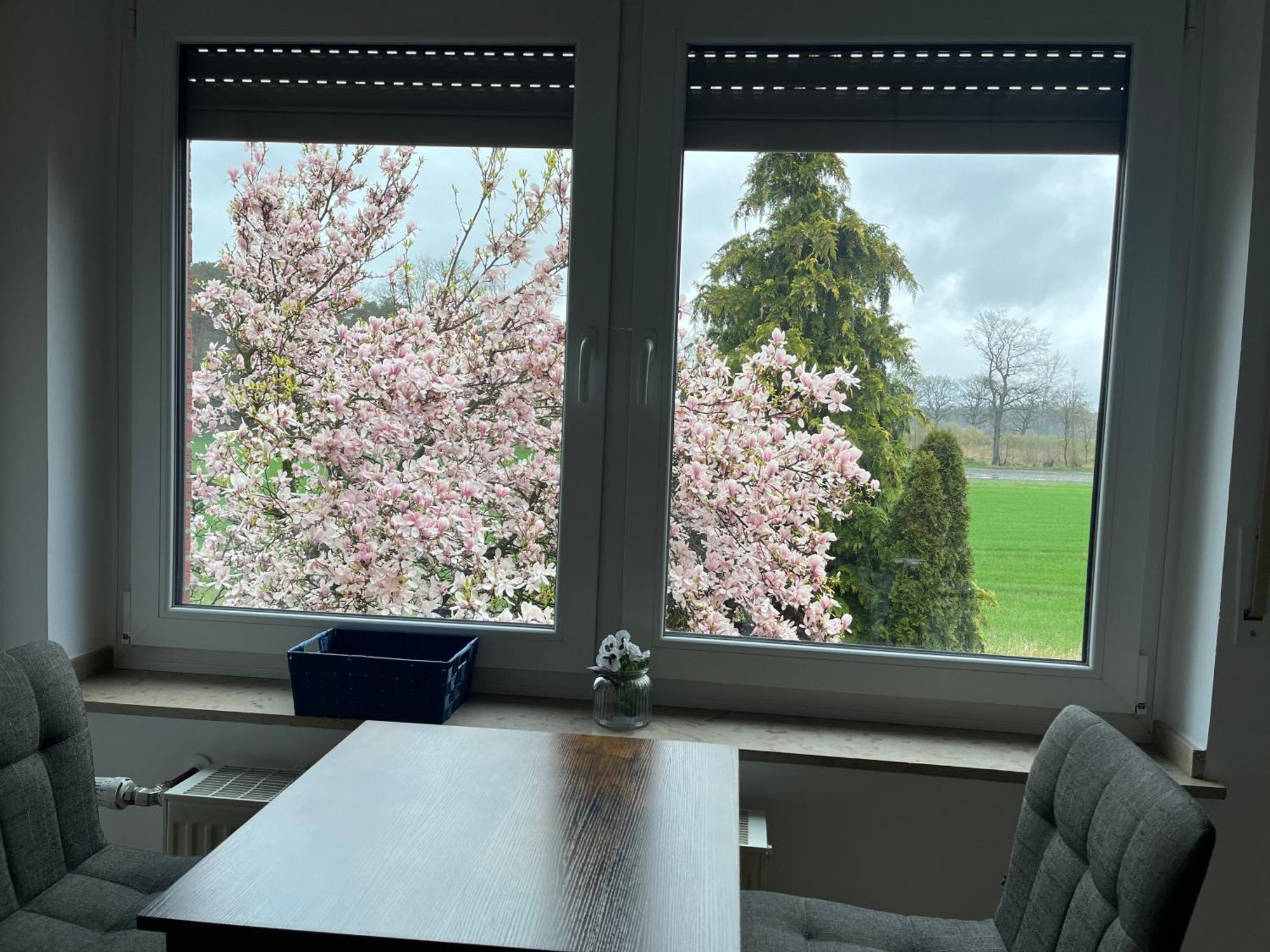 Wunderschoene Ferienwohnung Mit Balkon Auf Dem Bauernhof Greven Bagian luar foto